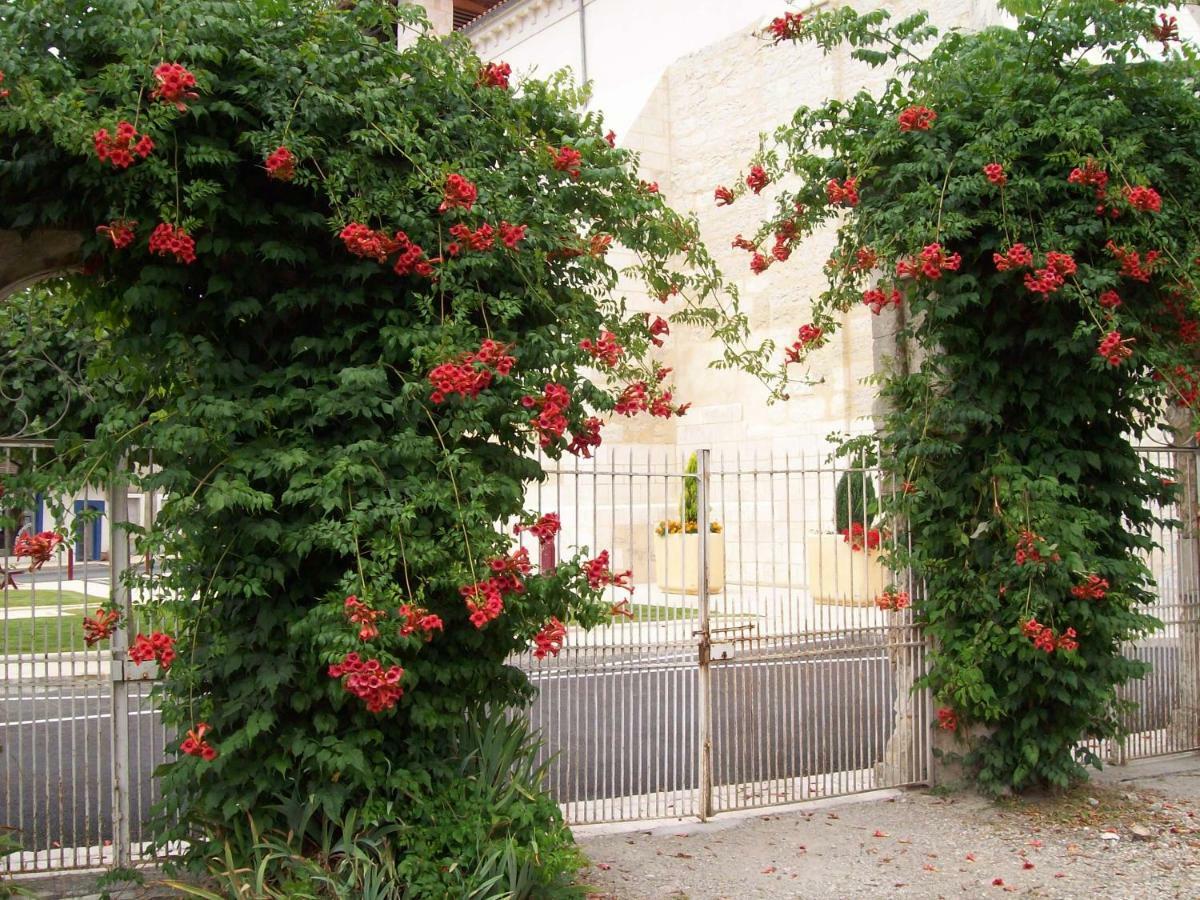 Chateau La Gentilhommiere Du Puits Notre-Dame 30 Rue De L'Eglise 24110 Saint Leon Sur L'Isle エクステリア 写真